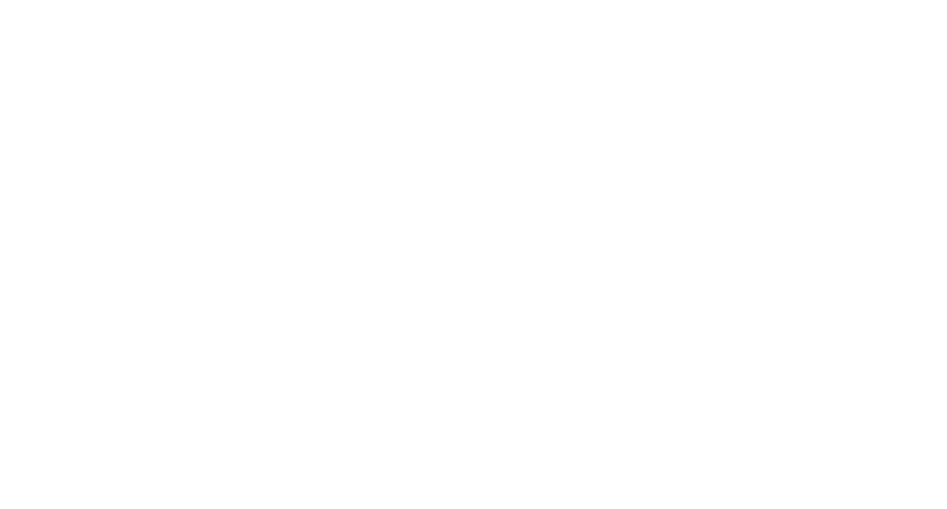 Pelle Logo